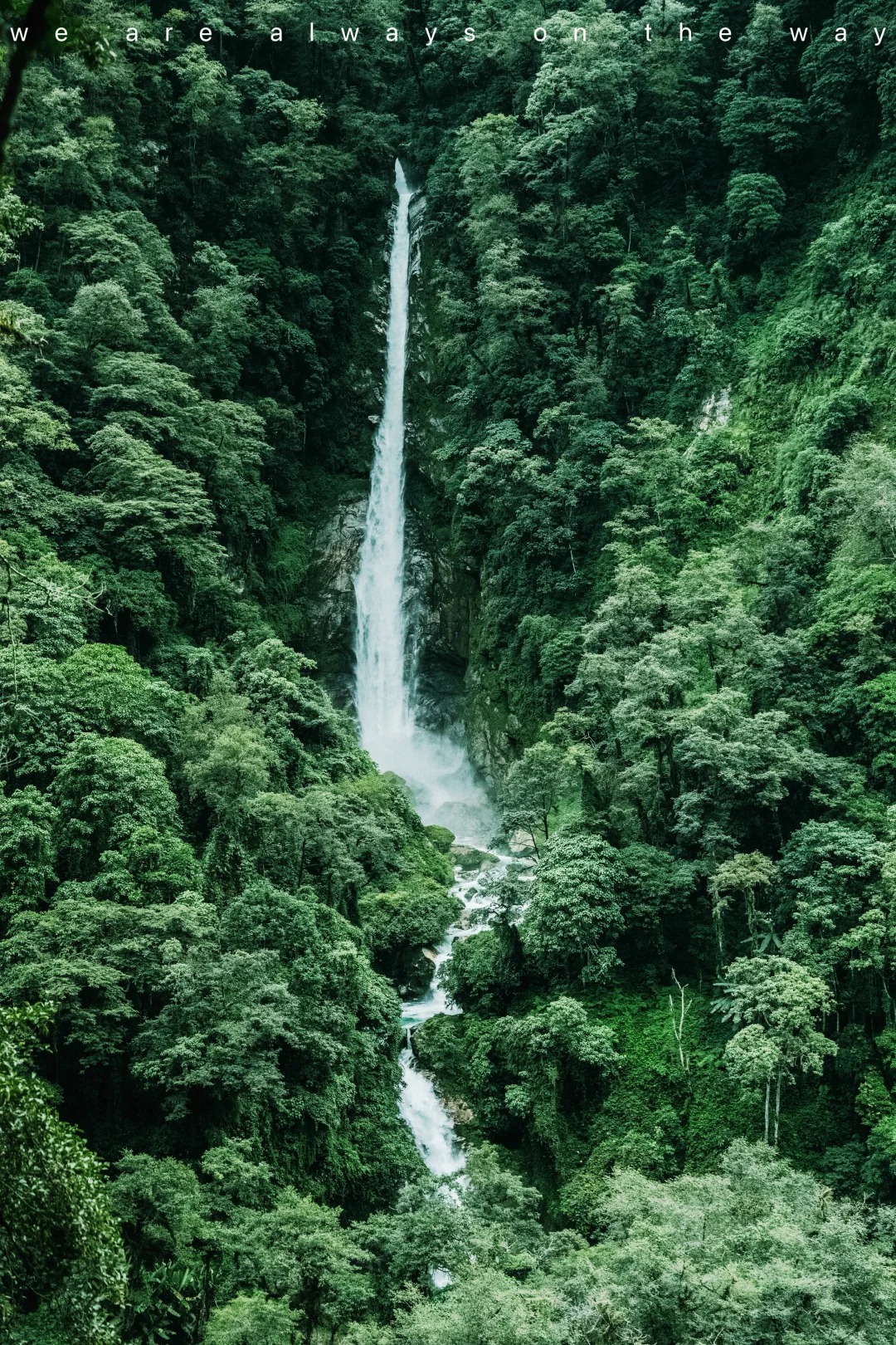 “我们一起去了墨脱”_4_贺贺-贺小唏_墨脱-来自52tours 我爱旅游网